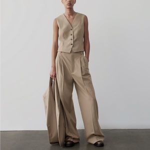 ZARA Pleated Pants ZW Collection